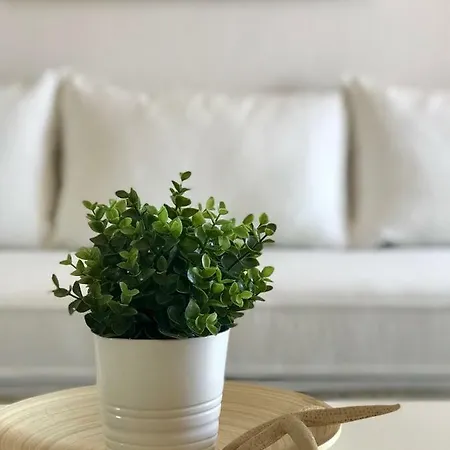 Apartment Sand & Sea Design